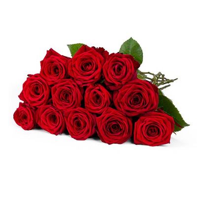 12 langstielige rote Premium-Rosen von Valentins auf blumen.de