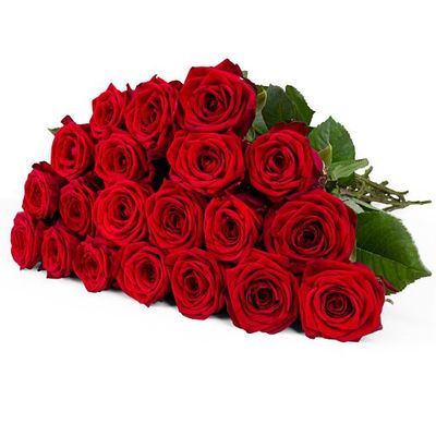 20 langstielige rote Premium-Rosen von Valentins auf blumen.de