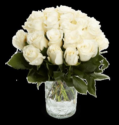 40 weiße Rosen (40cm) von Blume Ideal auf blumen.de