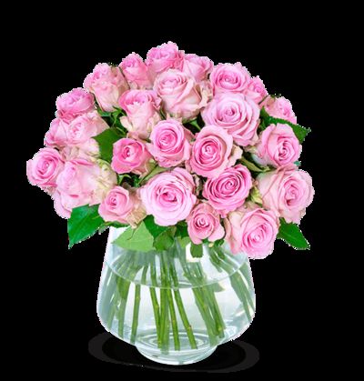 40 pinke Rosen von Blume Ideal auf blumen.de
