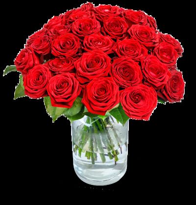 40 rote Premium-Rosen  von Blume Ideal auf blumen.de