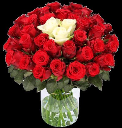 50 Rosen  von Blume Ideal auf blumen.de