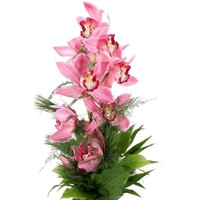 Orchideen-Magie von Blumenfee auf blumen.de