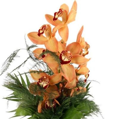 Orchideen - Traum  von Blumenfee auf blumen.de