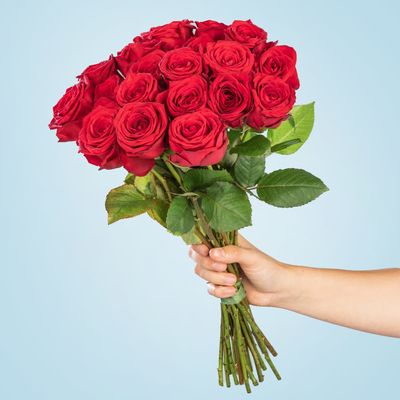 Premium-Rosen in Rot  von Blume2000.de auf blumen.de