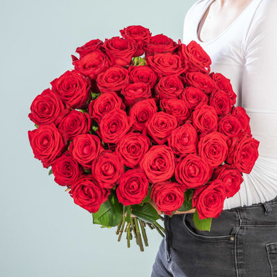 40 Premium-Rosen in Rot von Blume2000.de auf blumen.de