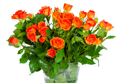 Blumen mit Vase